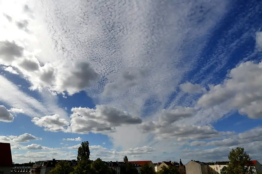 099 | 1900 | 2018-09-28 – 13:44 | © carsten riede fotografie
