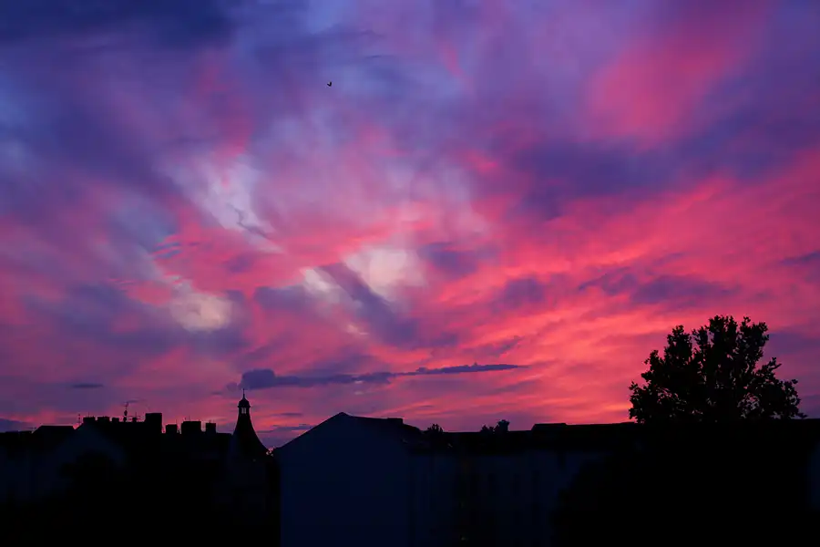 111 | 1900 | 2019-09-13 – 19:44 | © carsten riede fotografie