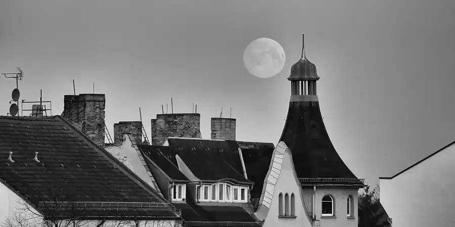 139 | 1900 | 2020-04-07 – 06:21 | © carsten riede fotografie