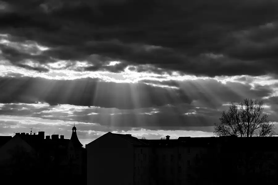 210 | 1900 | 2021-04-24 – 18:46 | © carsten riede fotografie