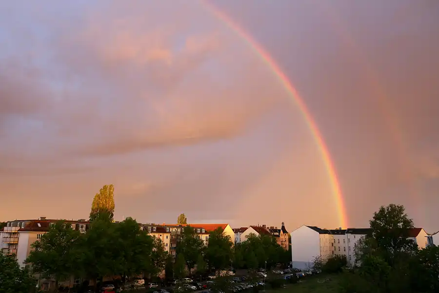 217 | 1900 | 2021-05-17 – 05:20 | © carsten riede fotografie