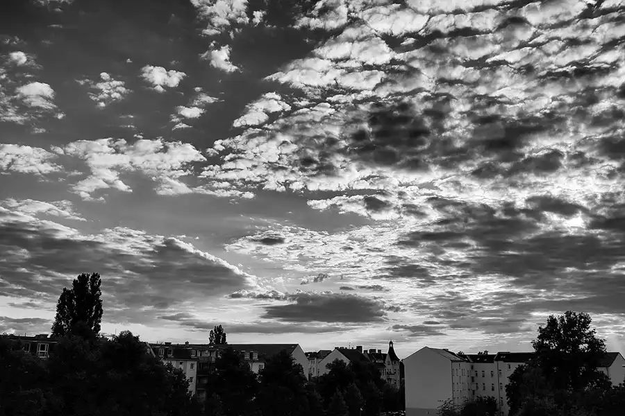 228 | 1900 | 2021-08-02 – 19:48 | © carsten riede fotografie