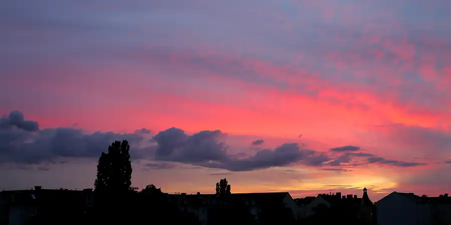 236 | 1900 | 2021-09-28 – 19:00 | © carsten riede fotografie