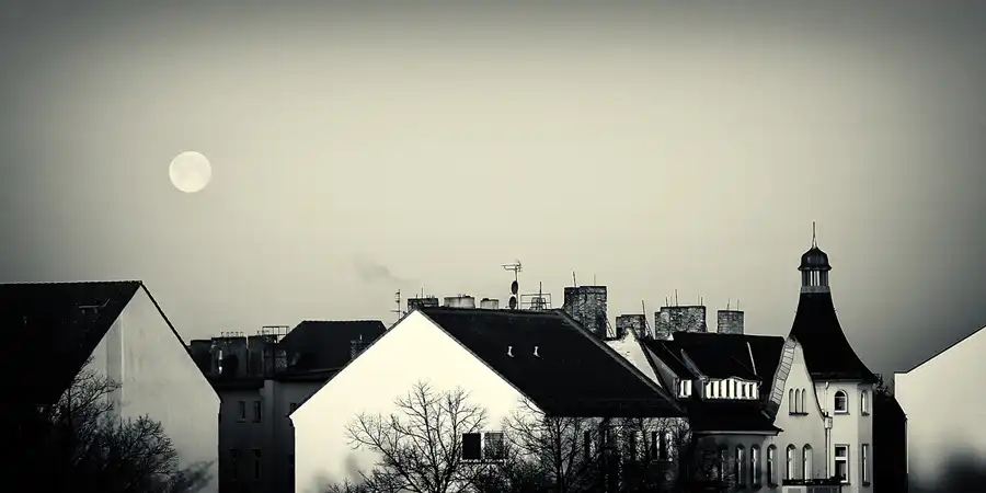 247 | 1900 | 2022-03-19 – 06:31 | © carsten riede fotografie