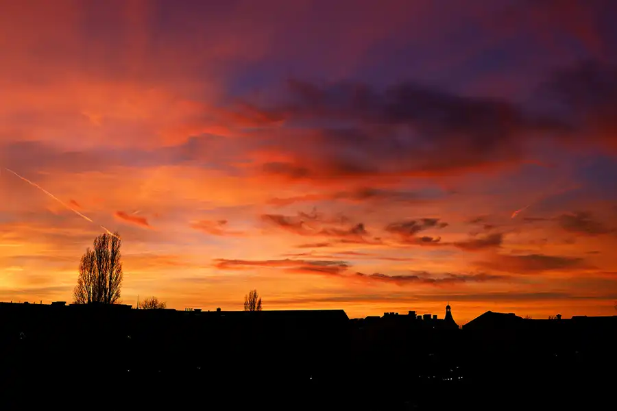 293 | 1900 | 2023-12-17 – 16:14 | © carsten riede fotografie