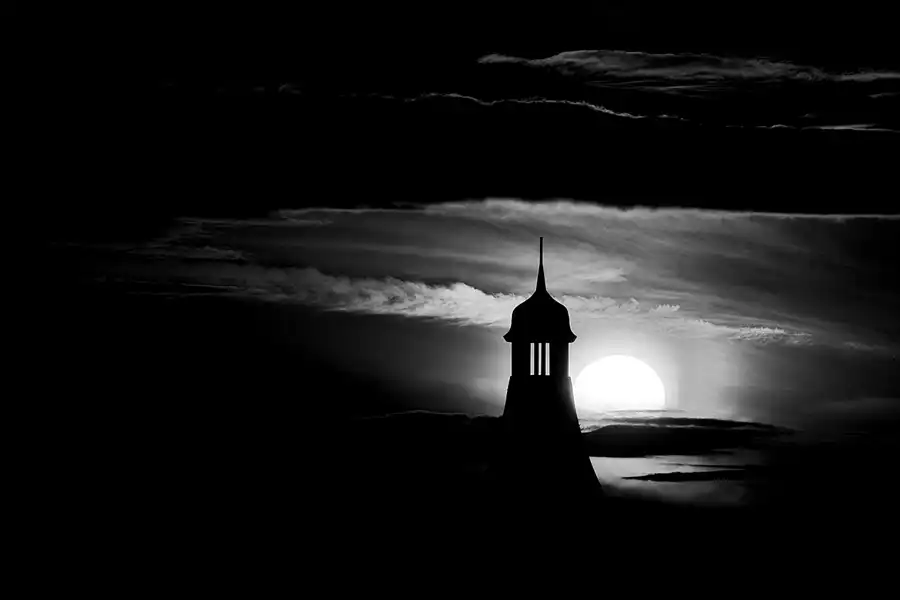 297 | 1900 | 2024-03-25 – 18:12 | © carsten riede fotografie