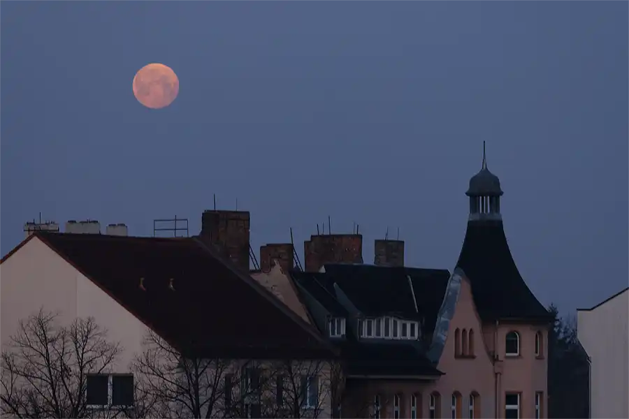 307 | 1900 | 2026-03-04 – 06:32 | © carsten riede fotografie