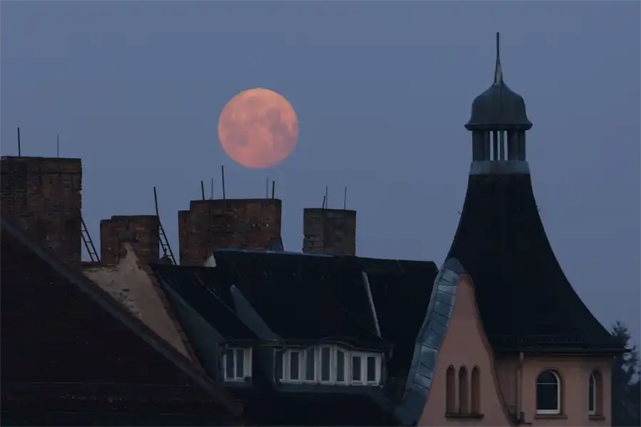 308 | 1900 | 2026-03-04 – 06:42 | © carsten riede fotografie