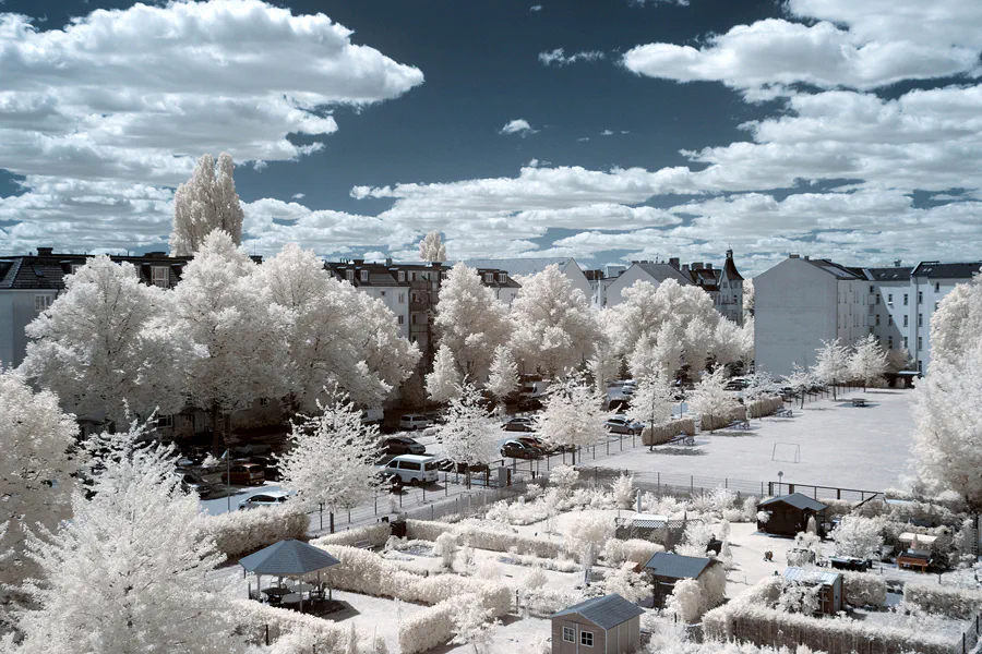 075 | 1900 | 2018-07-01 – 14:29 | © carsten riede fotografie