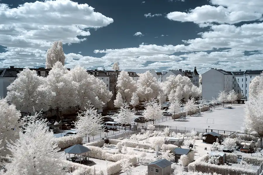 154 | 1900 | 2018-07-01 | © carsten riede fotografie