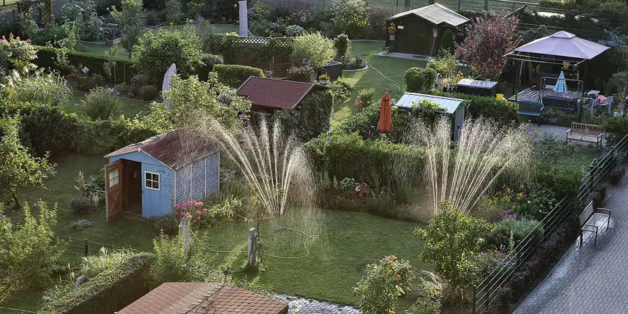 163 | 1900 | 2019-08-19 | © carsten riede fotografie