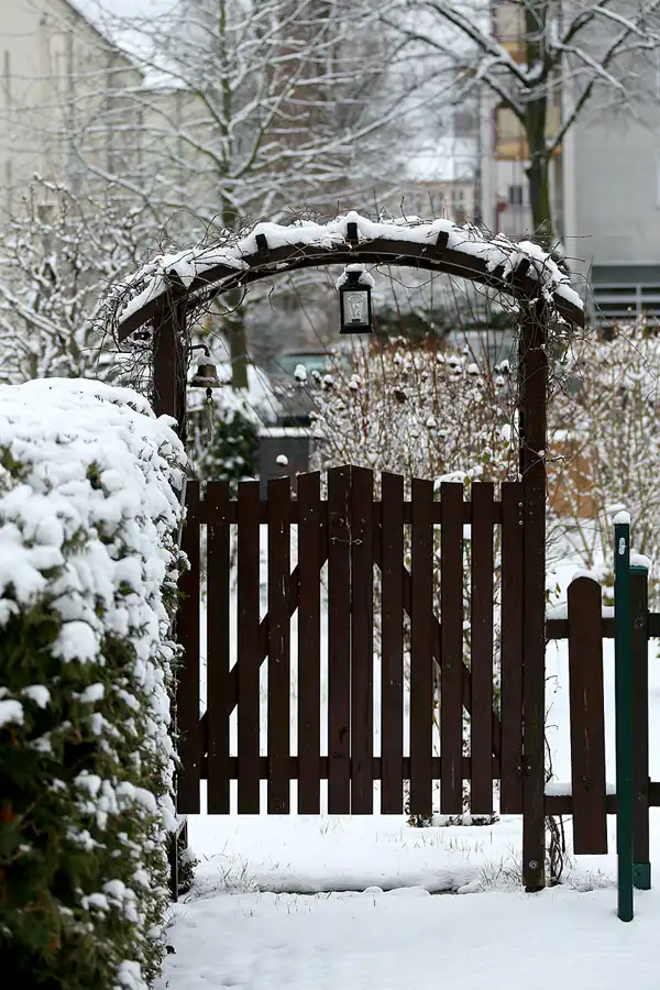 170 | 1900 | 2021-01-30 | © carsten riede fotografie