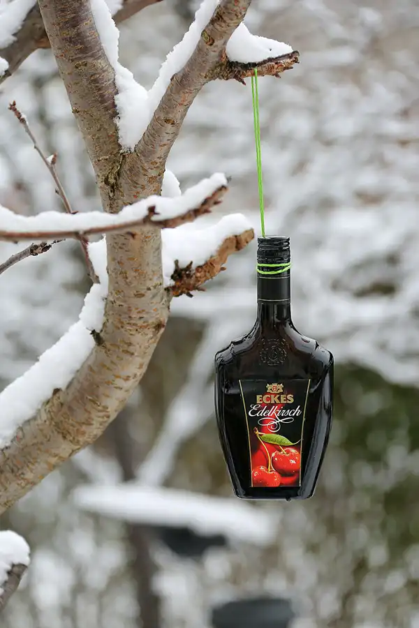 171 | 1900 | 2021-01-30 | © carsten riede fotografie