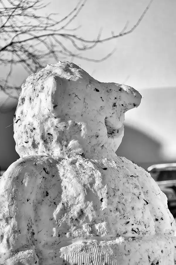 172 | 1900 | 2021-01-31 | © carsten riede fotografie