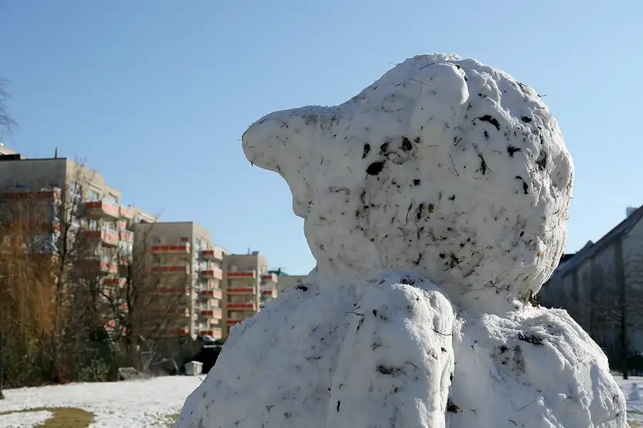 174 | 1900 | 2021-01-31 | © carsten riede fotografie