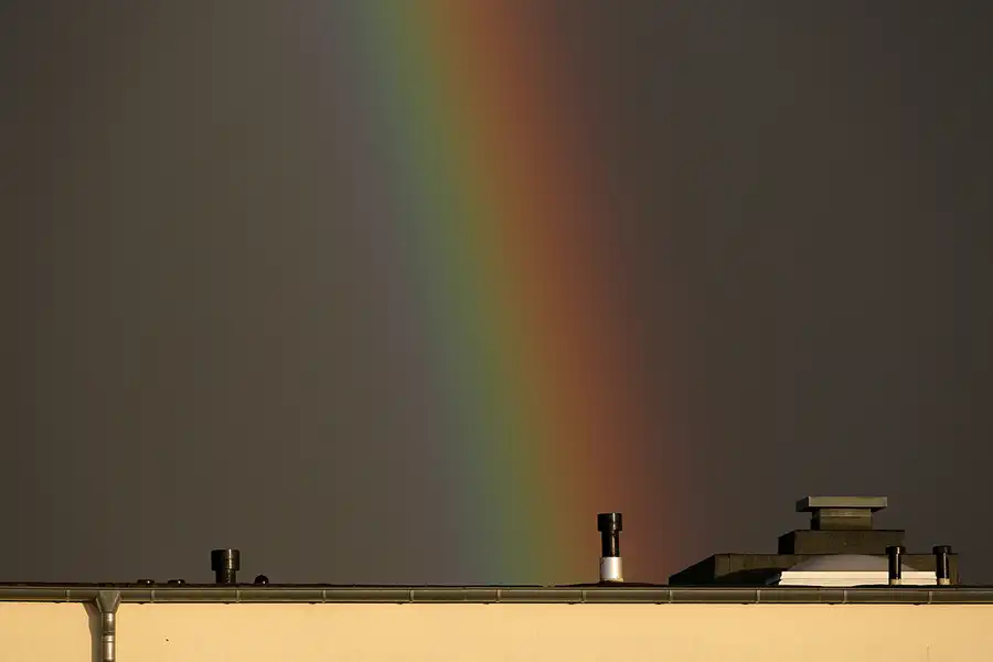 176 | 1900 | 2021-03-11 | © carsten riede fotografie