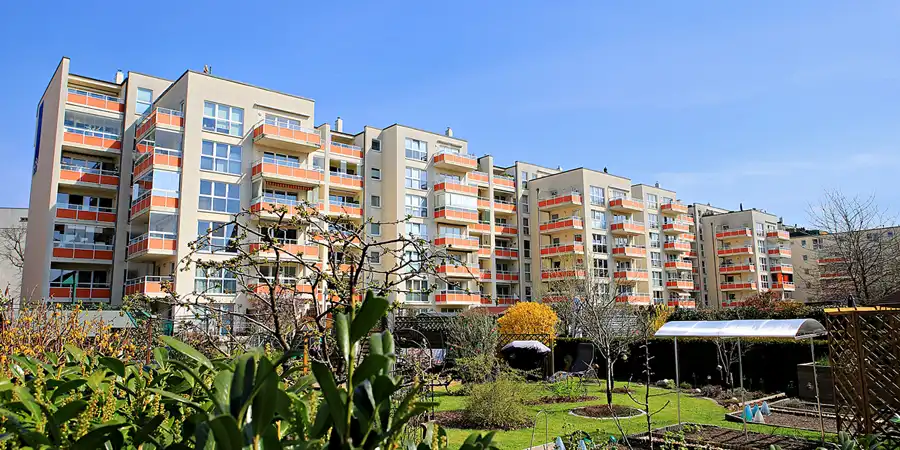 195 | 1900 | 2023-04-10 | © carsten riede fotografie