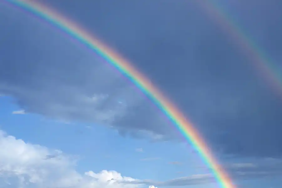 201 | 1900 | 2023-08-01 | © carsten riede fotografie