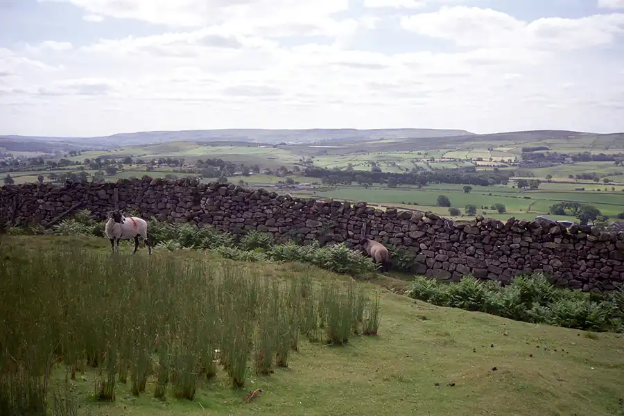 024 | 1994 | Nordengland | © carsten riede fotografie