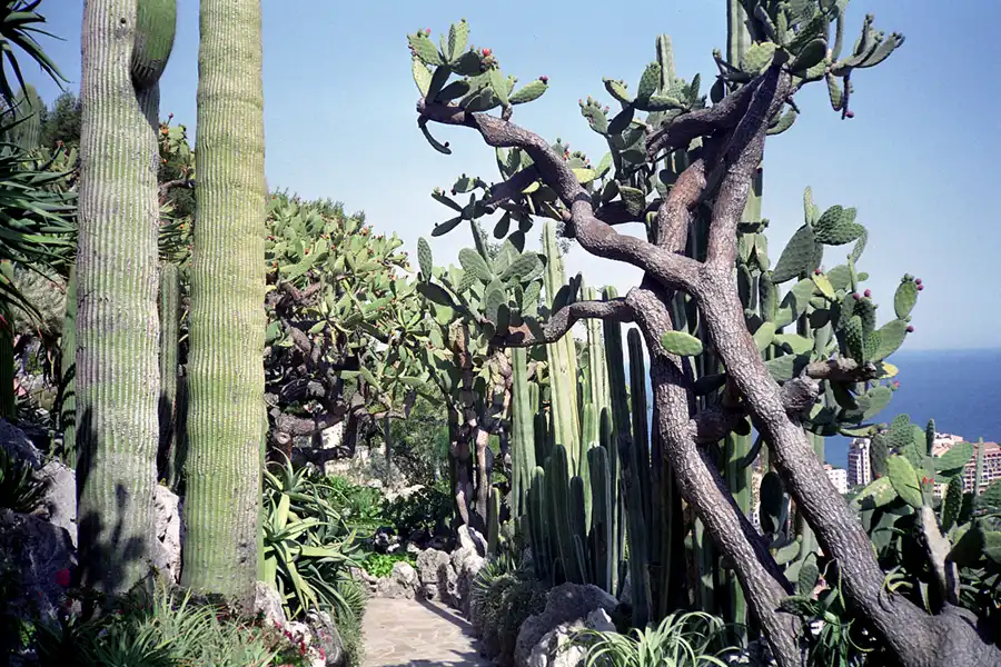020 | 1995 | Monaco | © carsten riede fotografie