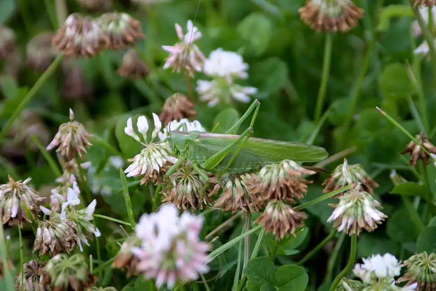 011 | 2002 | Oschersleben | © carsten riede fotografie