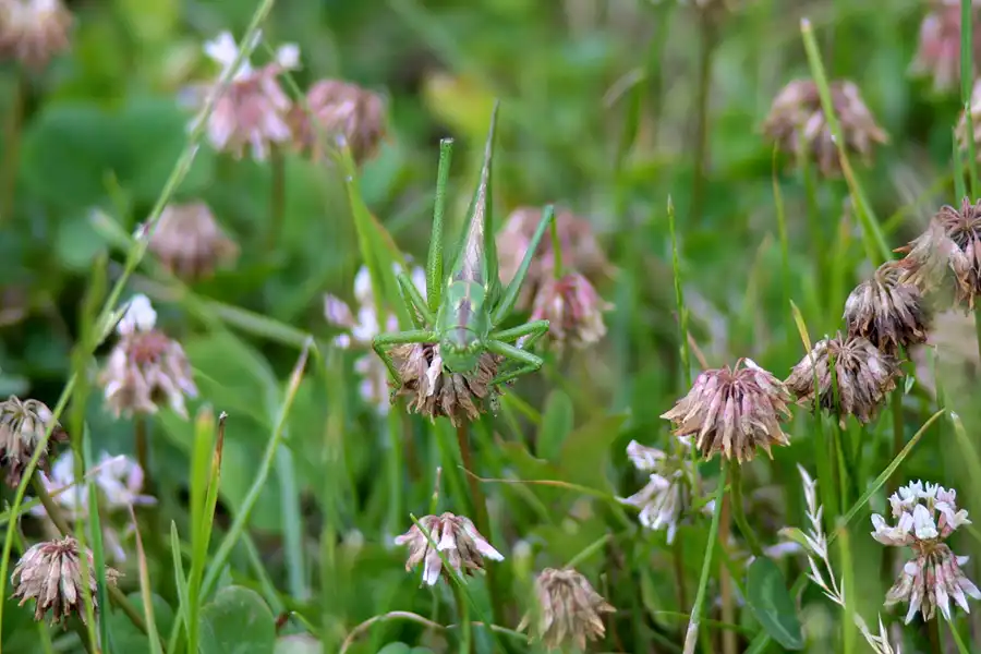 012 | 2002 | Oschersleben | © carsten riede fotografie