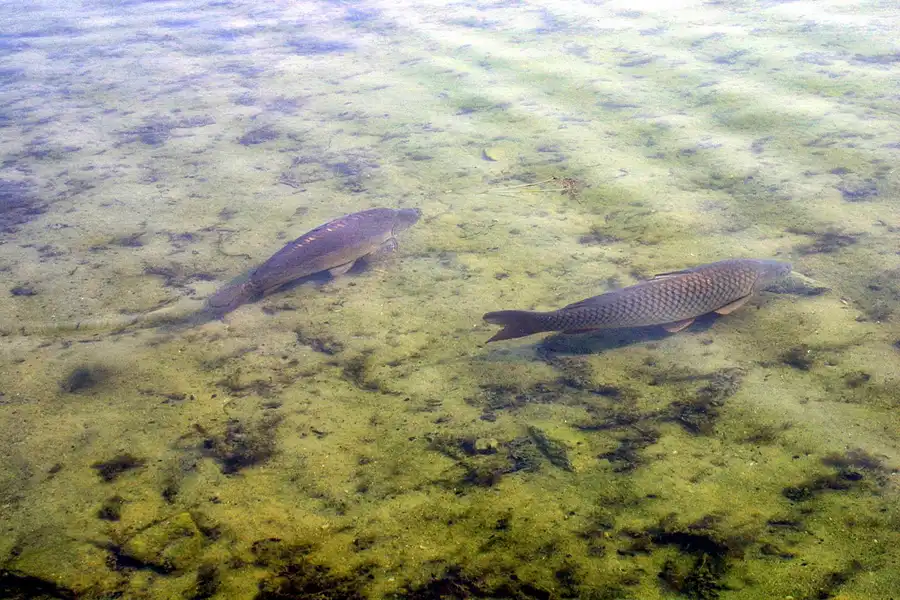 019 | 2002 | Berlin | Britzer Garten | © carsten riede fotografie