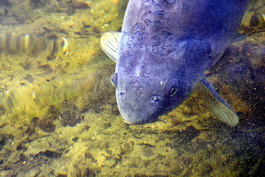 022 | 2002 | Berlin | Britzer Garten | © carsten riede fotografie