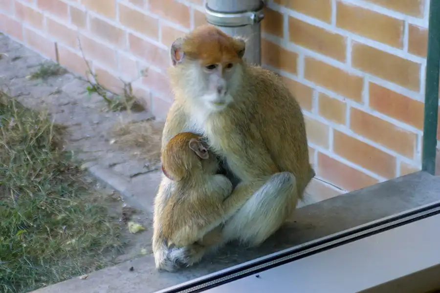 006 | 2002 | Berlin | Tierpark Friedrichsfelde | © carsten riede fotografie