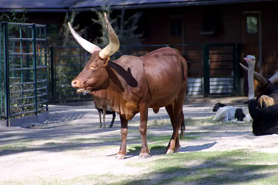 010 | 2002 | Berlin | Tierpark Friedrichsfelde | © carsten riede fotografie