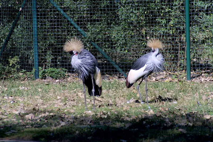 012 | 2002 | Berlin | Tierpark Friedrichsfelde | © carsten riede fotografie