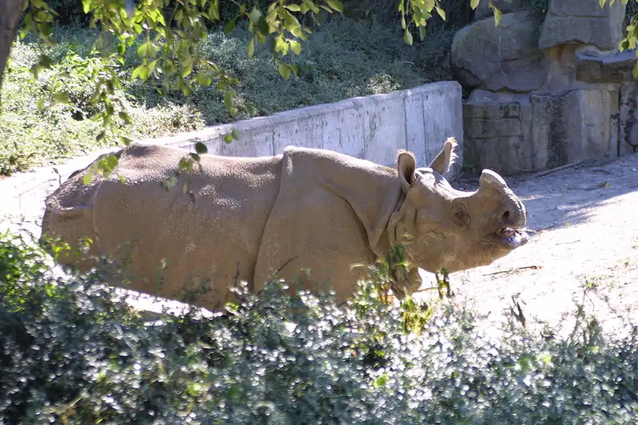 013 | 2002 | Berlin | Tierpark Friedrichsfelde | © carsten riede fotografie