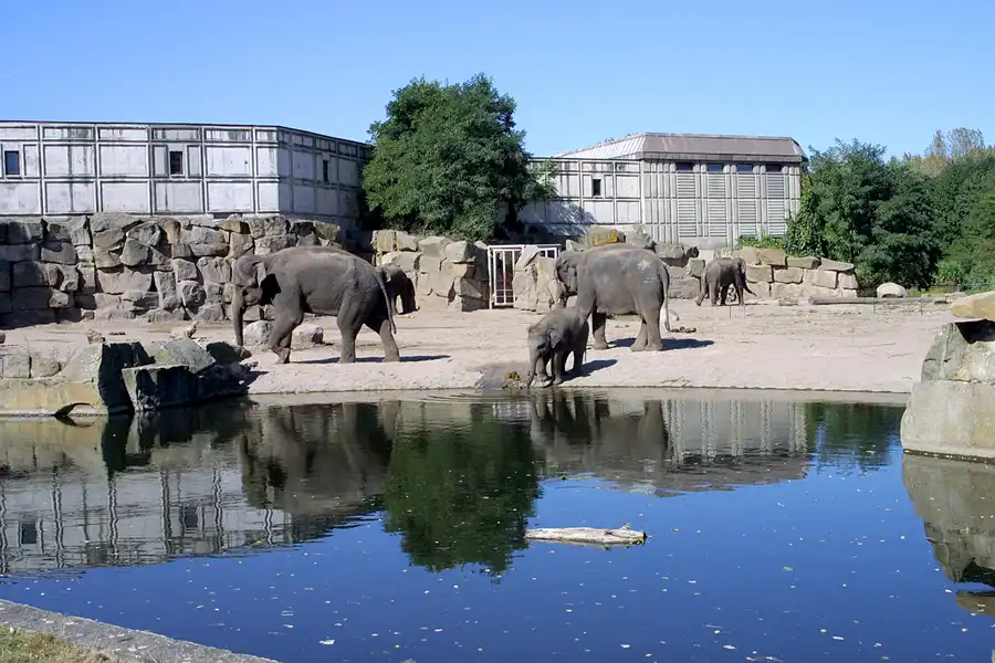 021 | 2002 | Berlin | Tierpark Friedrichsfelde | © carsten riede fotografie