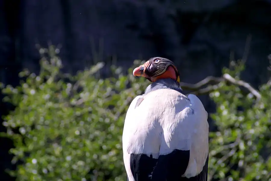 027 | 2002 | Berlin | Tierpark Friedrichsfelde | © carsten riede fotografie