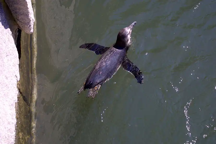 029 | 2002 | Berlin | Tierpark Friedrichsfelde | © carsten riede fotografie