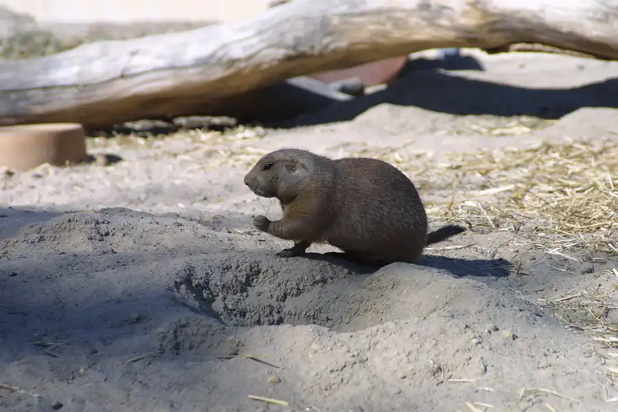 031 | 2002 | Berlin | Tierpark Friedrichsfelde | © carsten riede fotografie