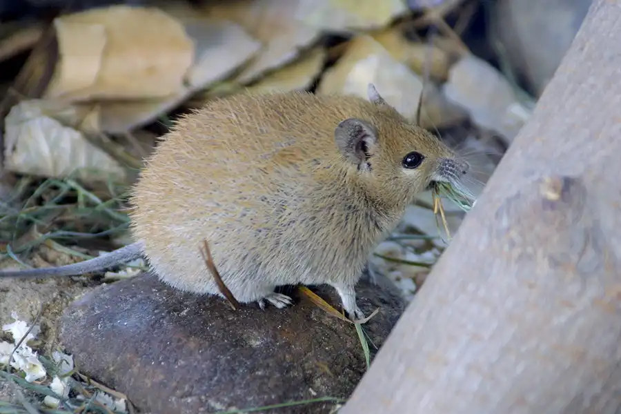 035 | 2002 | Berlin | Tierpark Friedrichsfelde | © carsten riede fotografie
