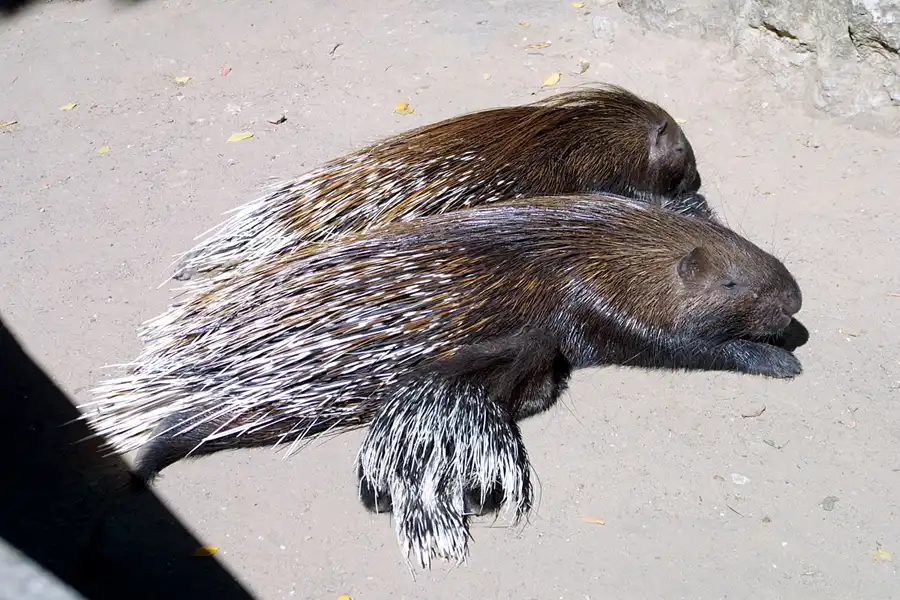 044 | 2002 | Berlin | Tierpark Friedrichsfelde | © carsten riede fotografie