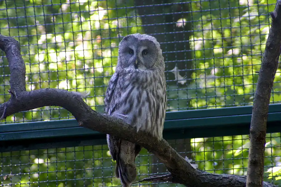 045 | 2002 | Berlin | Tierpark Friedrichsfelde | © carsten riede fotografie