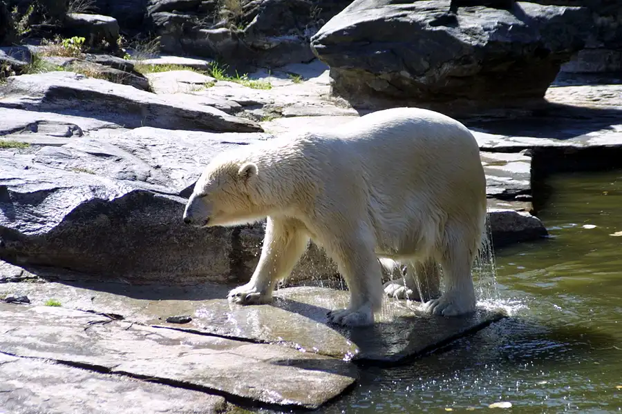 046 | 2002 | Berlin | Tierpark Friedrichsfelde | © carsten riede fotografie