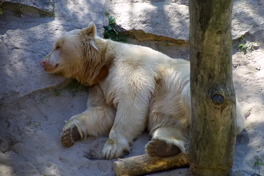 049 | 2002 | Berlin | Tierpark Friedrichsfelde | © carsten riede fotografie