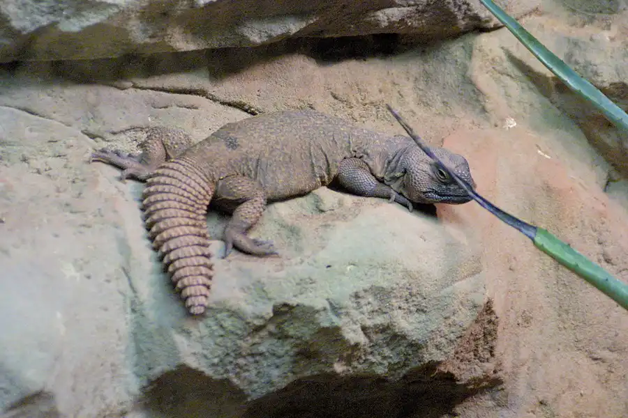 052 | 2002 | Berlin | Tierpark Friedrichsfelde | © carsten riede fotografie