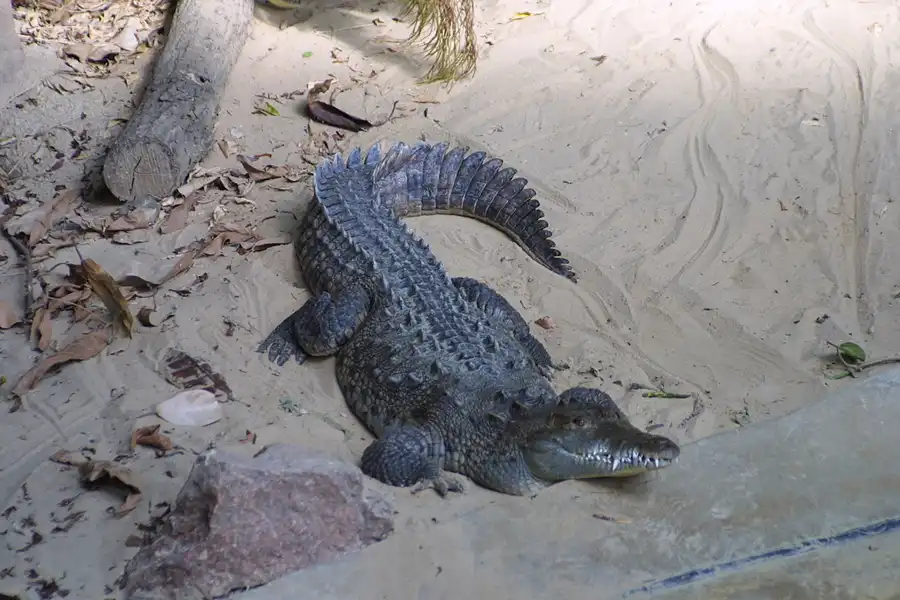 056 | 2002 | Berlin | Tierpark Friedrichsfelde | © carsten riede fotografie