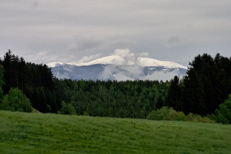 098 | 2003 | Spielberg | A1-Ring Umgebung | © carsten riede fotografie