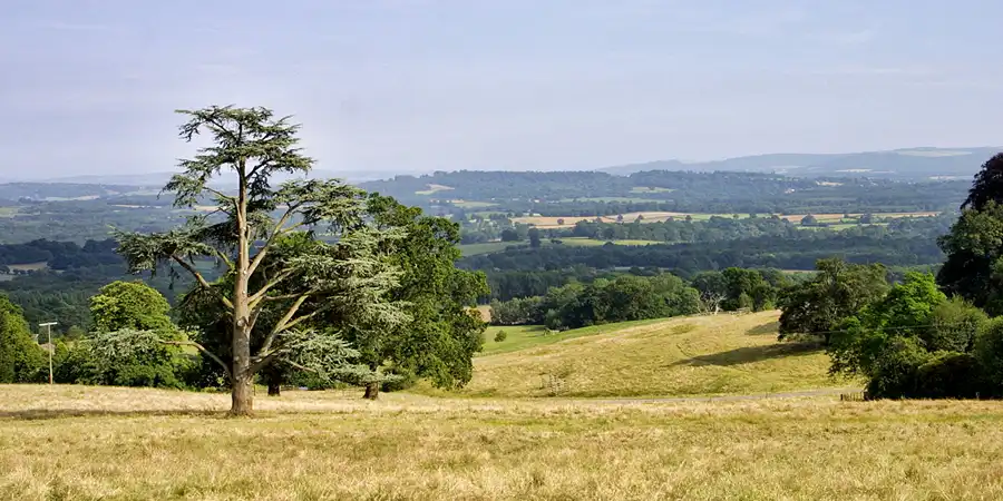 034 | 2003 | Haslemere | Blackdown Park | © carsten riede fotografie