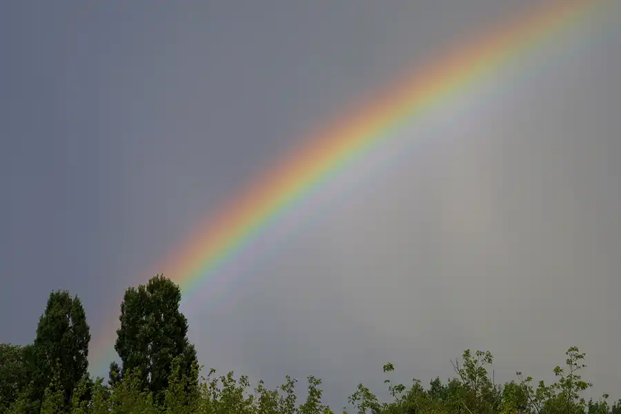 064 | 2004 | Berlin | © carsten riede fotografie