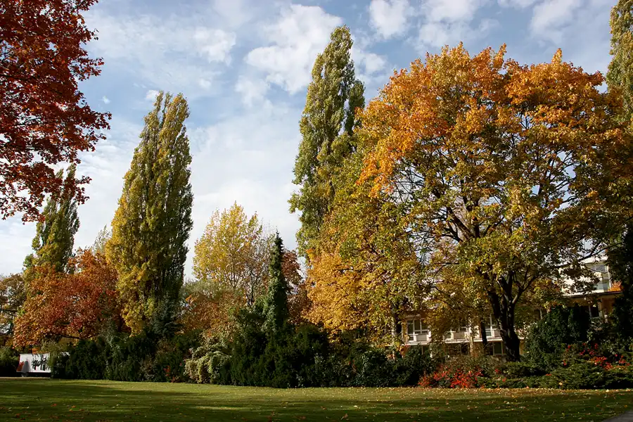 094 | 2004 | Berlin | © carsten riede fotografie