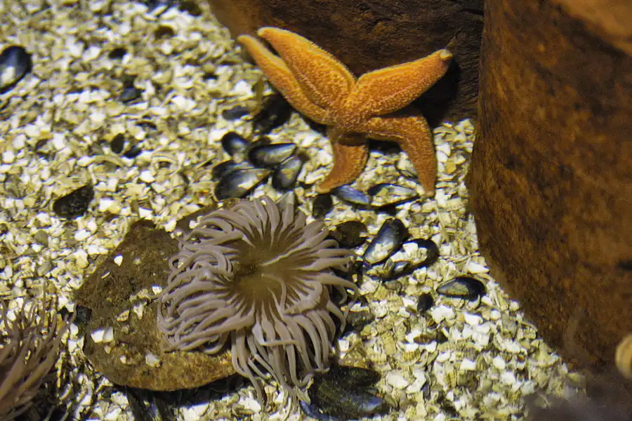 020 | 2004 | Berlin | Sea Life Center + Aqua Dom | © carsten riede fotografie