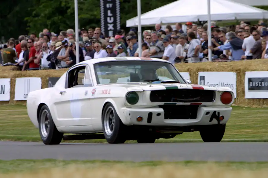 226 | 2004 | Goodwood | Festival Of Speed | © carsten riede fotografie