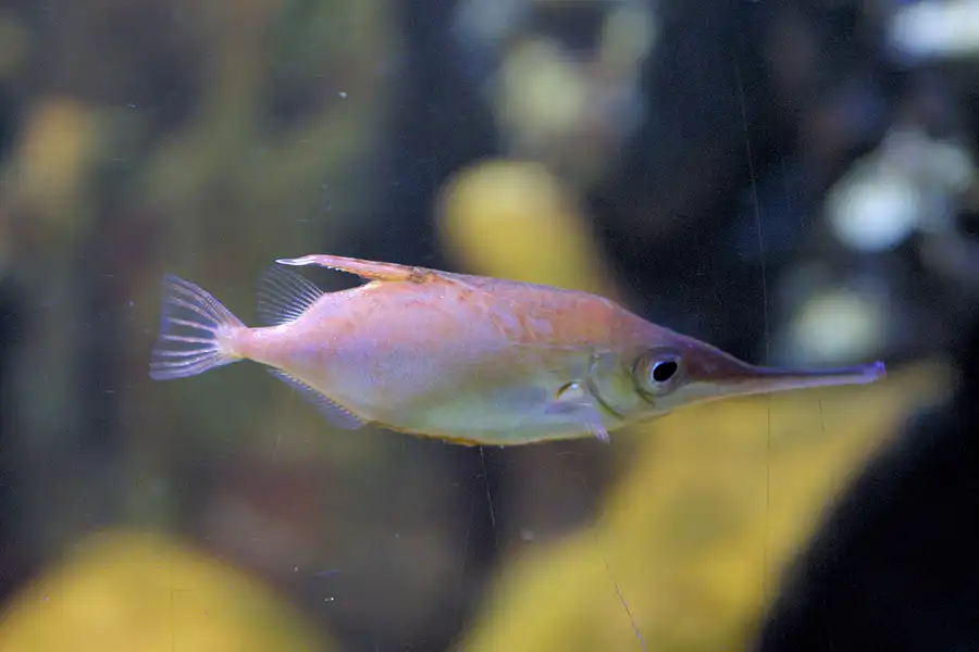 031 | 2004 | Basel | Zoologischer Garten | © carsten riede fotografie